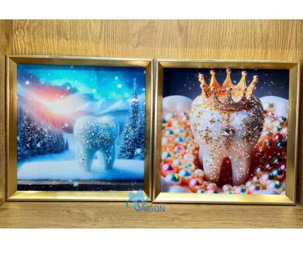 Tranh Tráng Gương Đính Đá Nha Khoa Cao Cấp