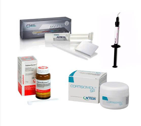 Trám bít ống tủy